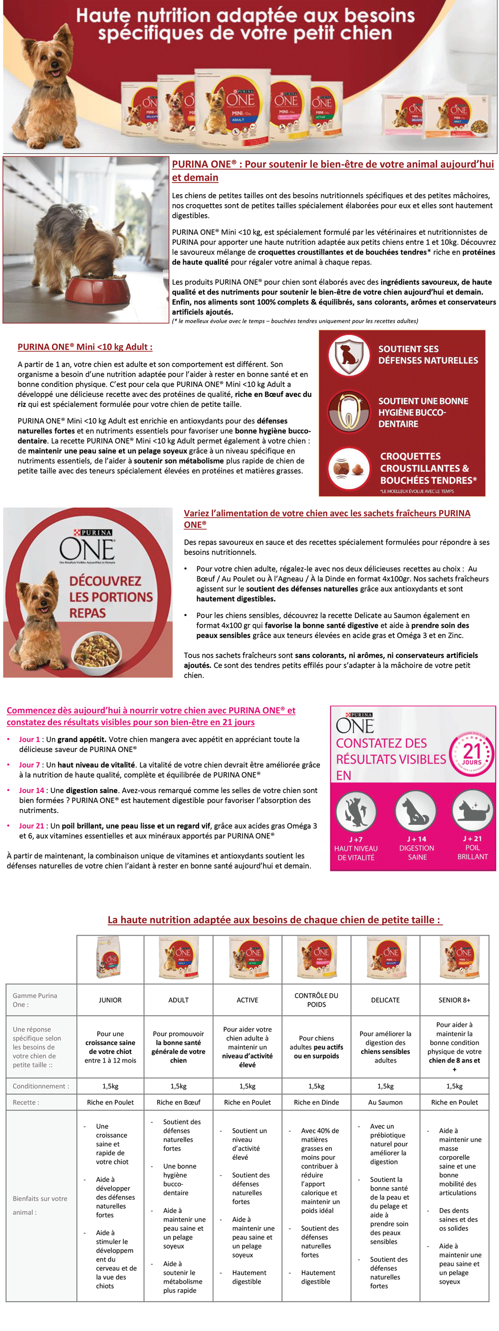 PURINA ONE Mini - Croquettes au bœuf avec du riz - Pour chien adulte de petite taille à partir de 1 an - 1,5 kg