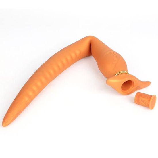 Plug Anal Long Gonflable Pour Adulte Norme Plug Anal Creux