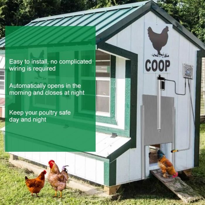Ouvre-porte automatique de maison de poulet (110-220V EU plug)