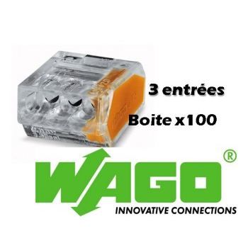 100 Wago 3 entrées, borne...