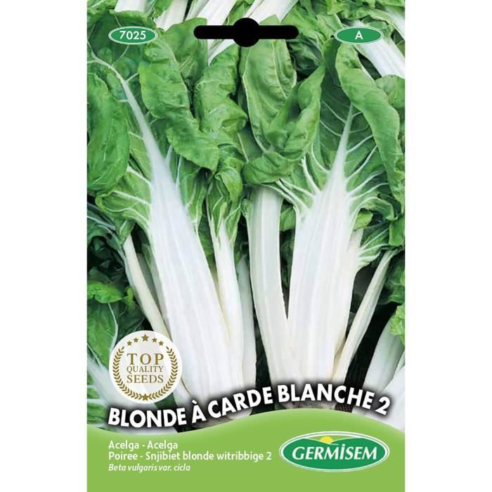Graines Poir E Blonde A Carde Blanche D Cdiscount Jardin