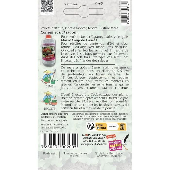 Graines De Laitue Couper Feuille De Ch Ne Blonde Graine Noire Grammes G Cdiscount