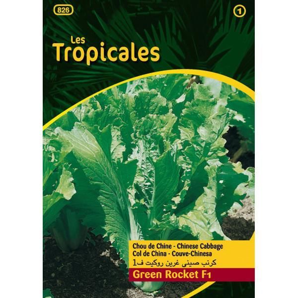 Sachet graines LES TROPICALES - Chou de Chine Green Rocket F1