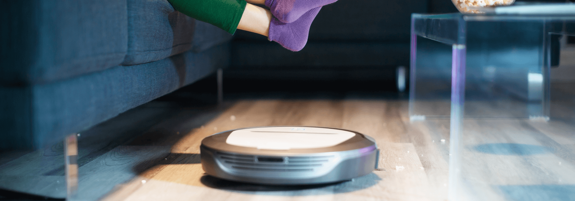 Quel aspirateur robot pour poil de chien ? Cdiscount