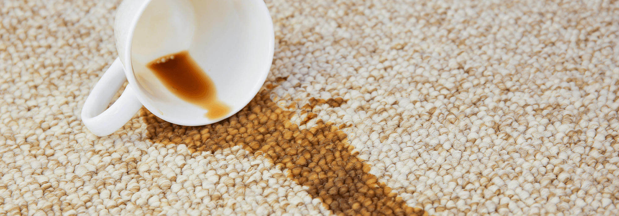 Comment Enlever Une Tache De Café Sur Un Tapis