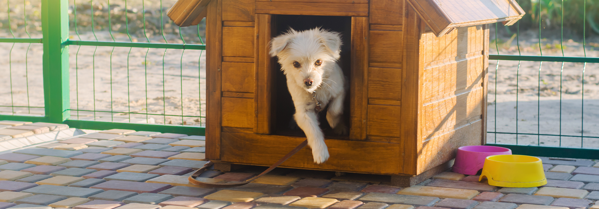 Plan Pour Construire Un Chenil Pour Chien Comment fabriquer une niche pour chien ? - Cdiscount