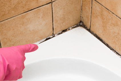 Comment nettoyer la moisissure dans la salle de bain ? - Cdiscount