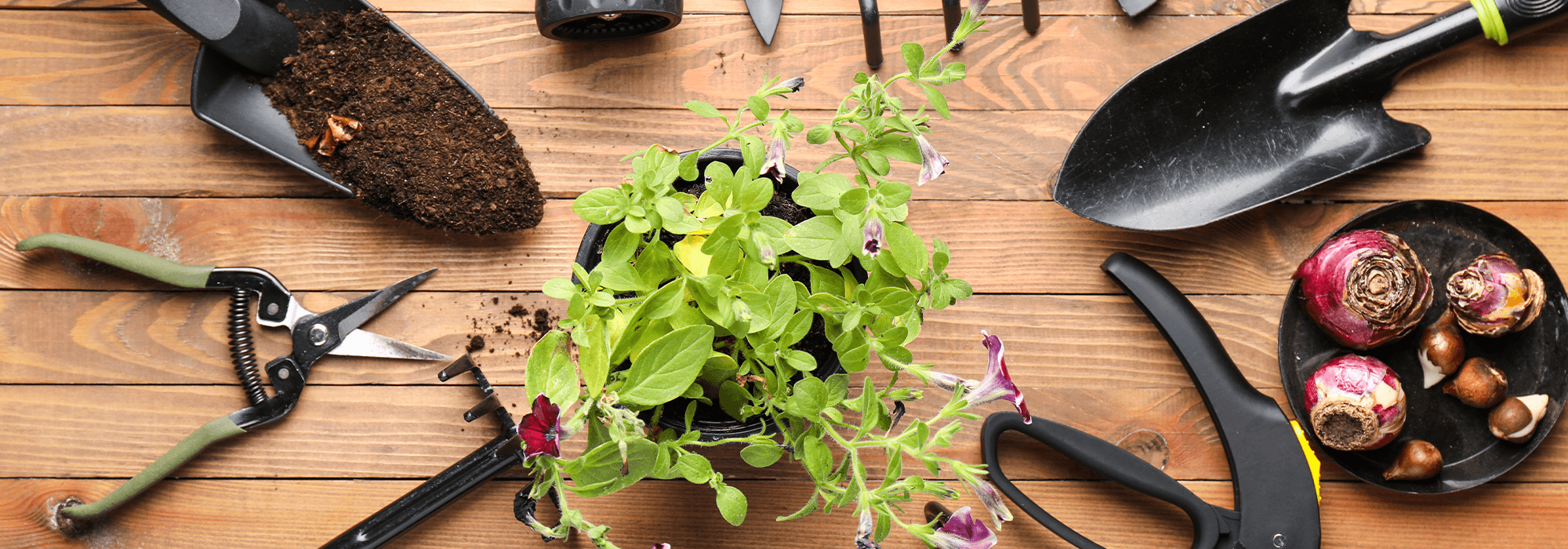 Comment nettoyer ses outils de jardin ? - Cdiscount