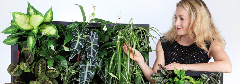 femme touchant une plante