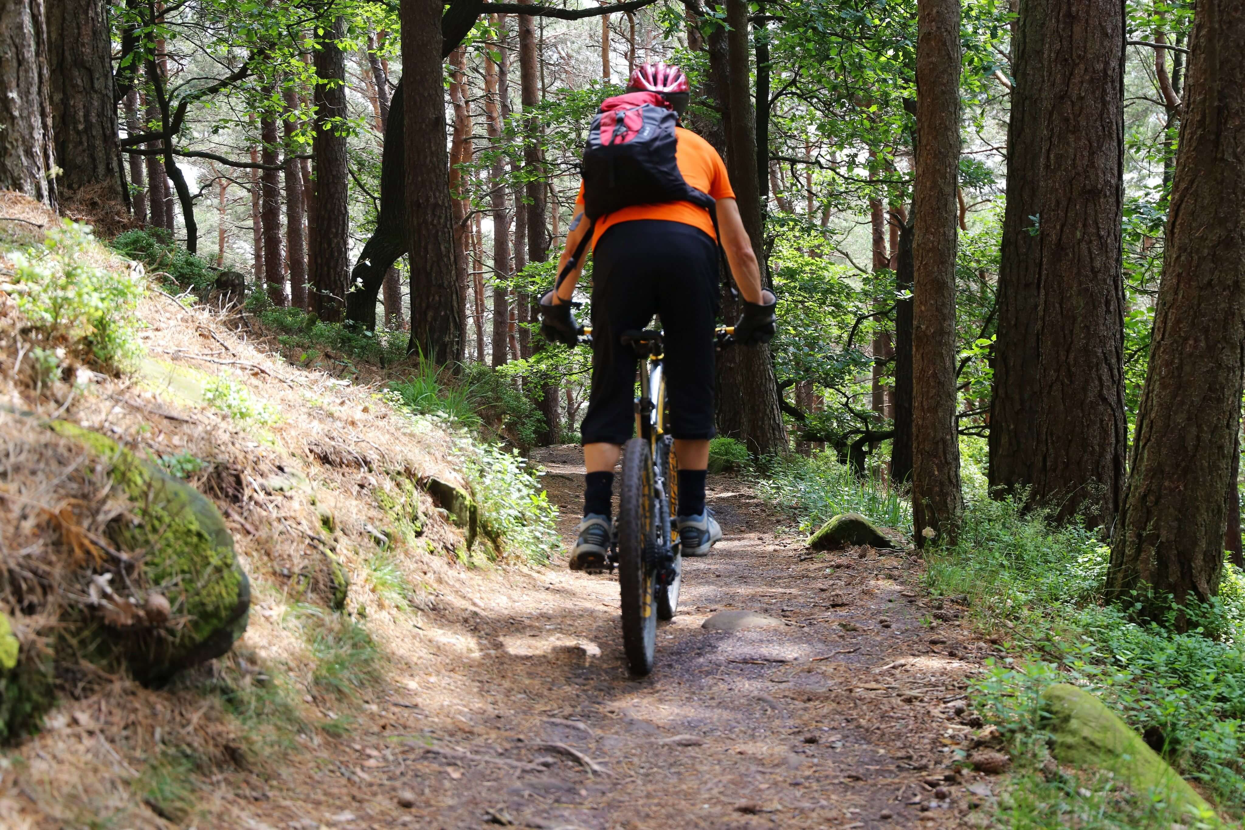 Comment choisir entre VTT semi-rigide ou tout-suspendu ?