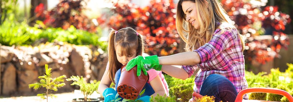 Reproducir solo Paleto Comment jardiner avec ses enfants ? - Cdiscount