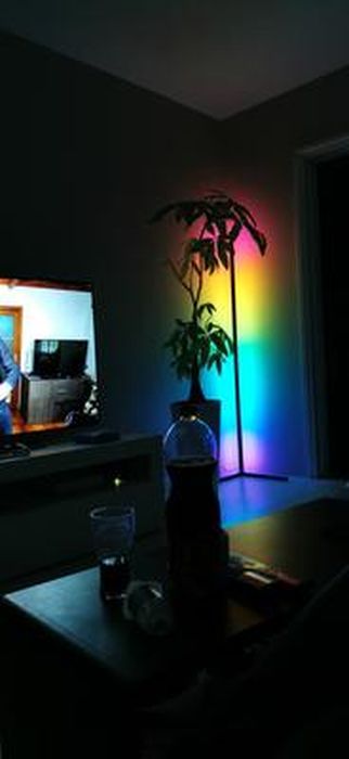 Lampadaire LED Luxceo 165cm Avec RGB, APP Et Télécommande - 16M De Couleurs, Sync Musique, Ambiance Salon Moderne