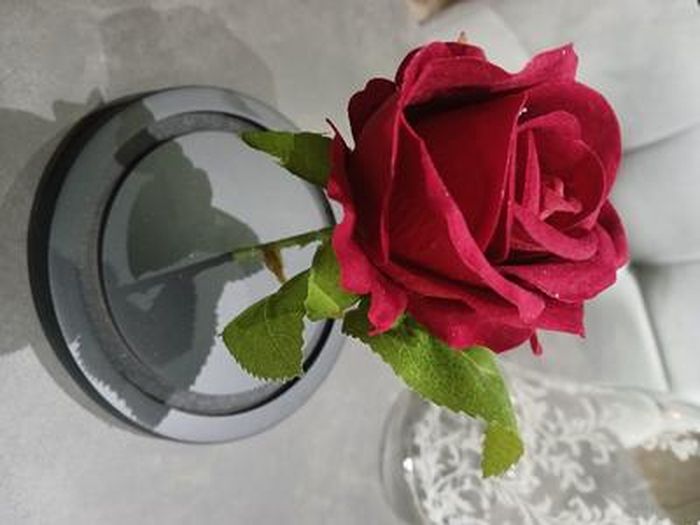 Rose Éternelle La Belle Et La Bête Sous Cloche Verre – Lumière LED Romantique – Cadeau Amour Éternel