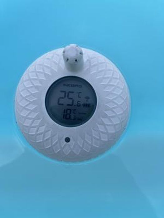Thermomètre Piscine Flottant sans Fil Radio, Thermomètre d'eau avec  Récepteur Numérique, Inkbird IBS-P01R pour Aquarium,Spa,Jacuzzi - Cdiscount  Jardin