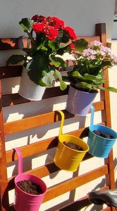 Lot de 12 pots de fleurs à suspendre avec motif gaufré - Diamètre : 11 cm -  Rouge, vert, jaune, blanc : : Jardin