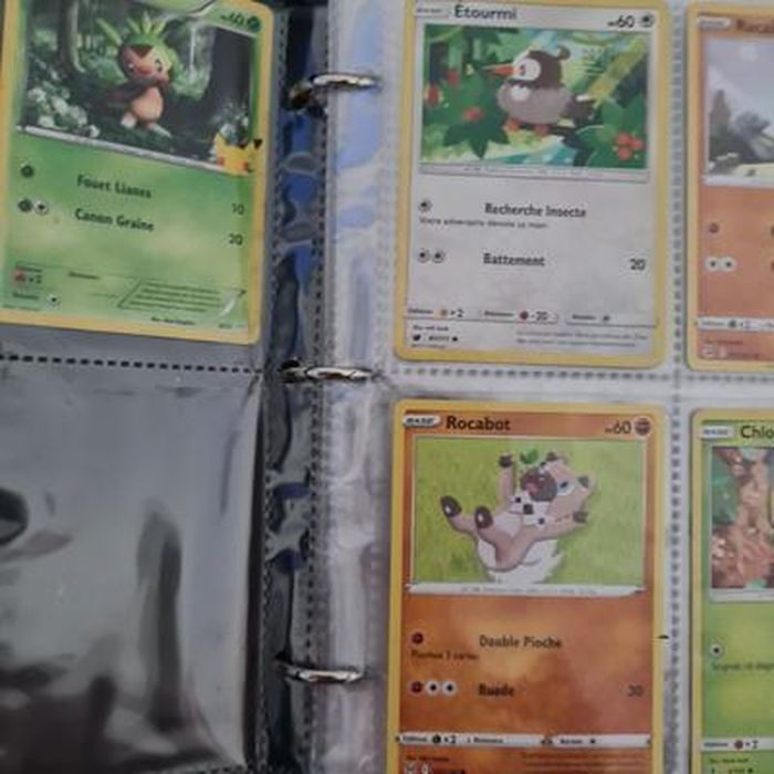 PALUDO Album Classeur pour Cartes à Collectionner, 360 Pochettes Porte Carte  à Collectionner, Classeur Livre Carte Rangement Compatible avec Pokemon  Magic YU-Gi-Oh Ninjago GX EX Match Attax Carte : : Jouets