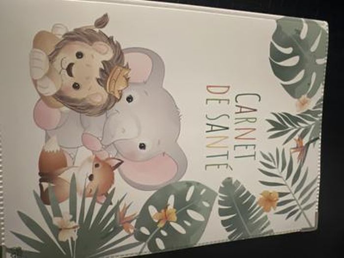 Protège Carnet De Santé Enfant - 22x16cm, Motif Safari - Fabriqué En France, PVC