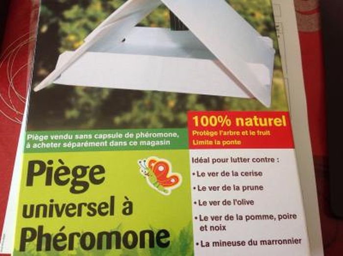 Piège à phéromones universel DECAMP' Protège l'arbre et le fruit — free download
