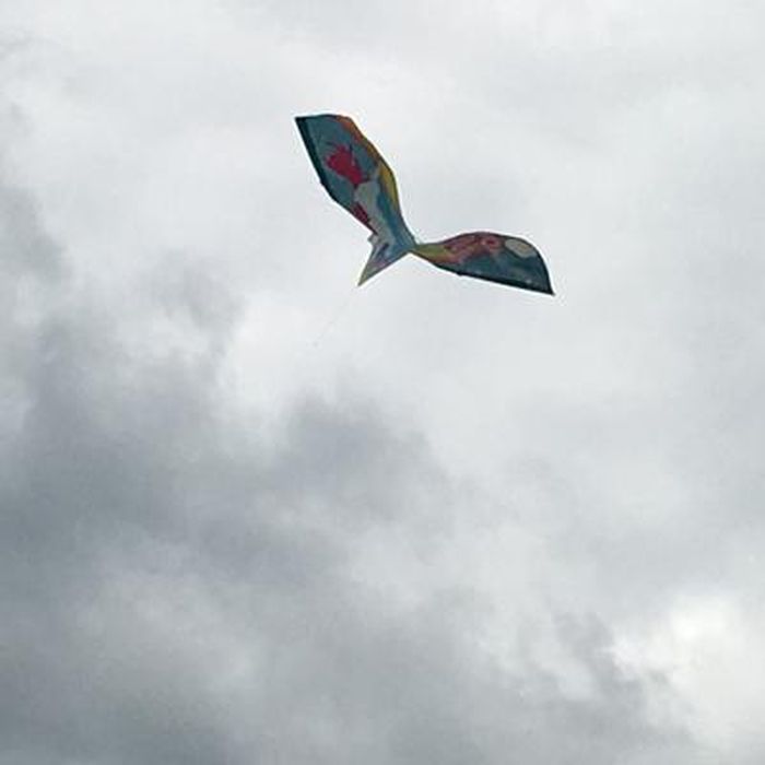 Paul Günther 1176 - Cerf-Volant Enfant Papillon, Prêt À Voler Avec Poignée Et Cordelette, Cerf