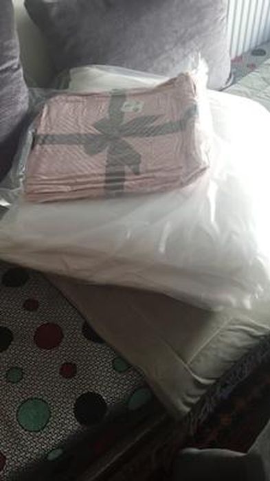 UNIVERSDECOR Oreillers Plume 60x60 Cm - Lot De 2 - Confort Ferme - Fabriqué En France - Enveloppe Coton