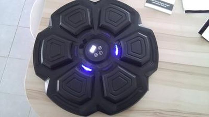 Machine De Boxe - PRUMYA - Bluetooth - Électrique - Batterie 2000mAh