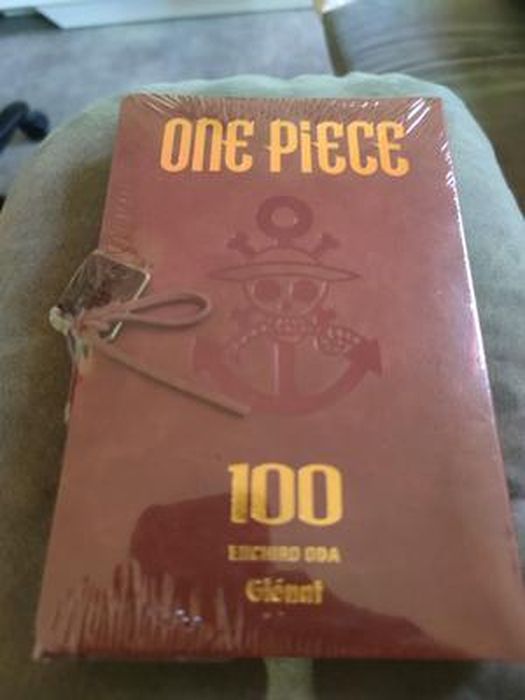 Manga One Piece Tome 100 Edition Collector Originale Format Poche -  Cdiscount Librairie