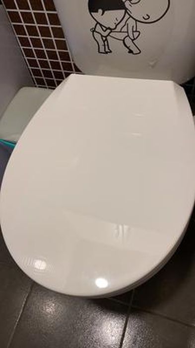 Abattant wc avec frein de chute anthracite - 818430