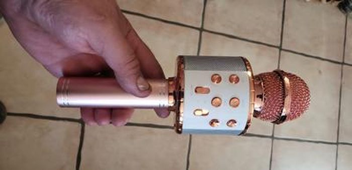 Micro Karaoké Sans Fil Bluetooth, Microphone Karaoke Avec Led De Danse, Portable Micro Sans Fil