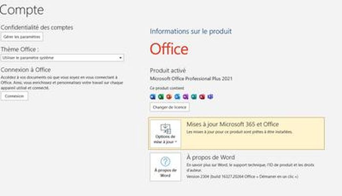 Microsoft Office 2021 Professionnel (Professional) - Clé licence à  télécharger à télécharger - Cdiscount
