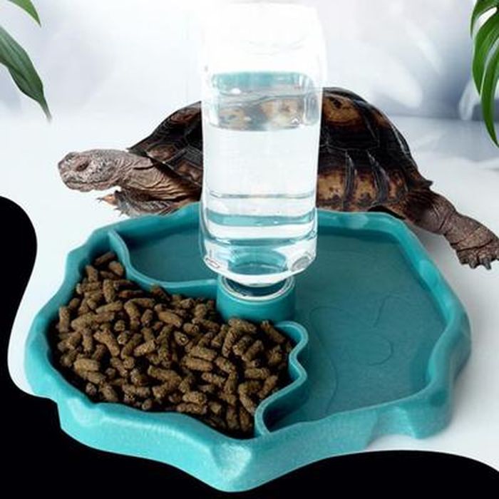 Distributeur De Nourriture Pour Reptiles Avec Ventouse - Coupelle Pour Gecko, Caméléon, Dragon Barbu, Araignée