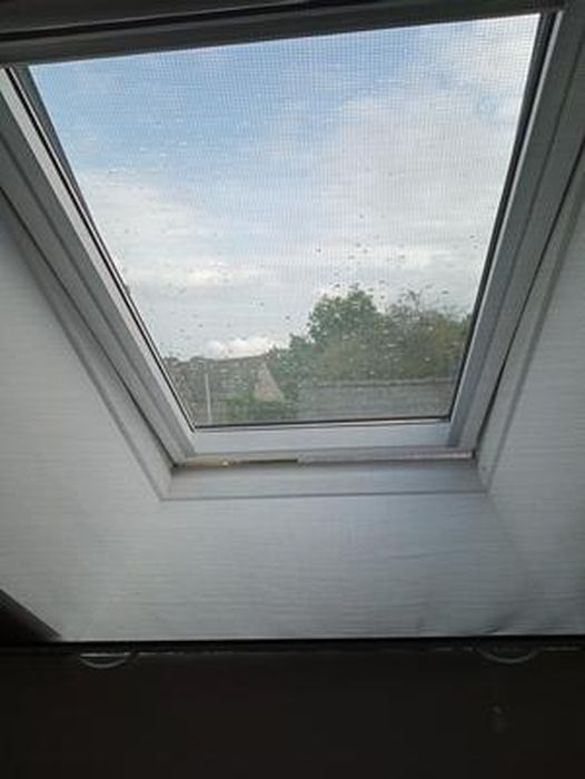 Moustiquaire enroulable fenêtre H145 cm x L125 cm ALU gris - Installation  facile
