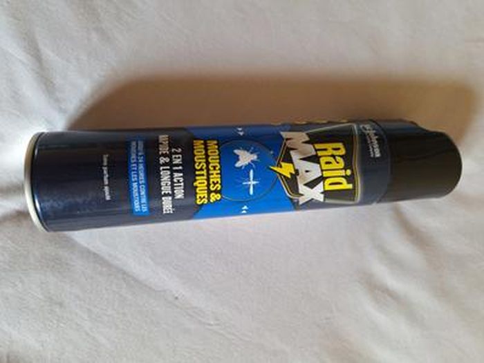 Aérosol Insecticide Mouches Et Moustiques 2en1 Aux Huiles Essentielles D Eucalyptus 400ml Raid 30313 5000204303131