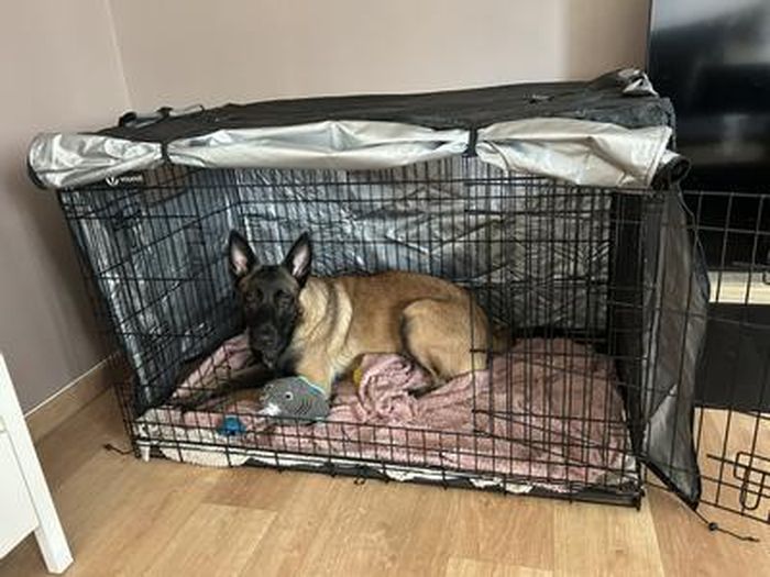 Cage Pliable pour Chien 92x58x64cm avec 2 Portes Sécurisées