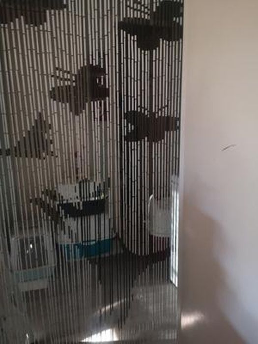 Rideau de porte Chat et Papillon - Bambou - 90 x 200 cm - 90 x 200