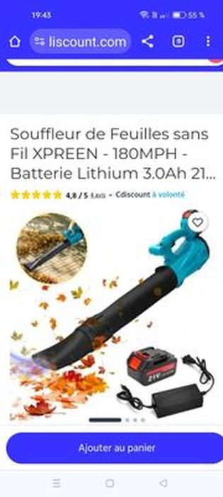 Souffleur De Feuilles à Batterie - 21V 3000W - Souffleur Sans Fil Ergonomique - Pour