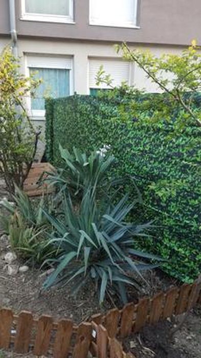 Coupe-vent et brise-vue vert - 1 x 10 m - Webshop