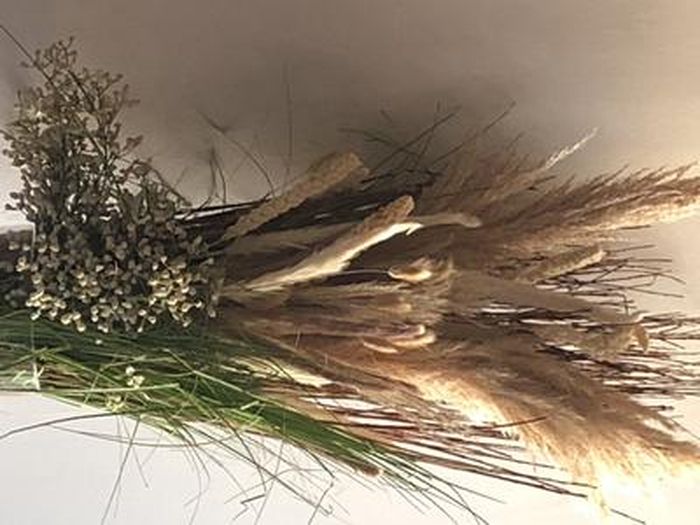 185 Tiges Herbe De Pampa Séchée Naturelle - Déco Bohème 42cm - Pour Mariage, Salon, Chambre | Bouquet Séché