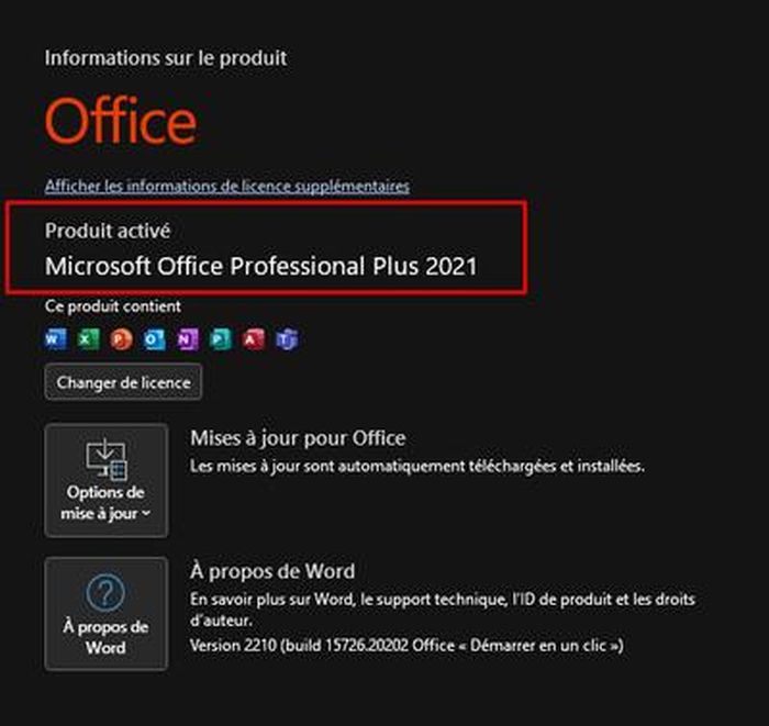 Microsoft Office 2021 Professionnel Plus - Version Dématérialisé