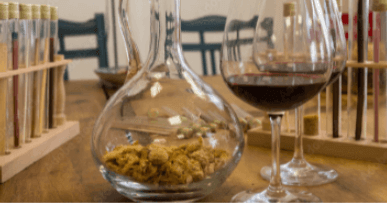 Tout savoir sur les palettes aromatiques du vin