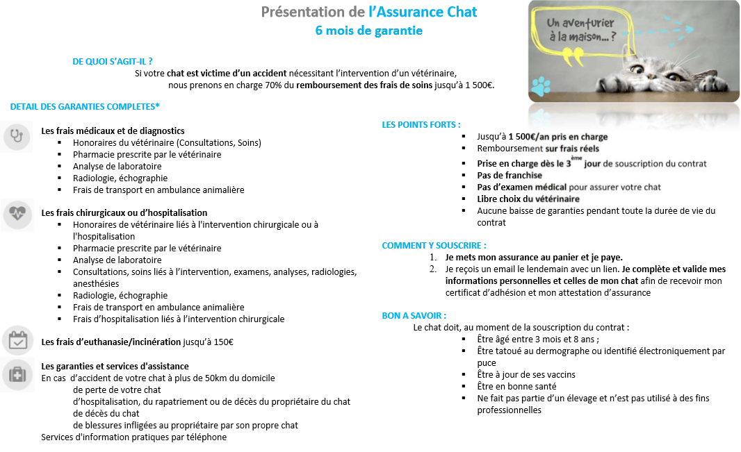 Assurance Chat 6 Mois Cdiscount Animalerie Assurance Chat 6 Mois Cdiscount Animalerie