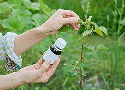Désherbant S.Rap. Gesal 800ml Acheter - Herbicides de jardin - LANDI