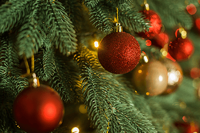 Ursus 24290002F - Décoration Sapins en nid d'abeille, Boule en nid d'abeille Décoration de Noël, 2 pièces de Tailles différentes, Vert, à Suspendre ou à Poser Ursus 24290002F - Décoration Sapins en nid d'abeille, Boule en nid d'abeille Décoration de Noël, 2 pièces de Tailles différentes, Vert, à Suspendre ou à Poser