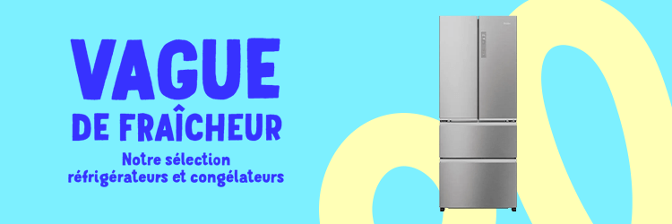 Vitrine réfrégirateurs et congélateurs