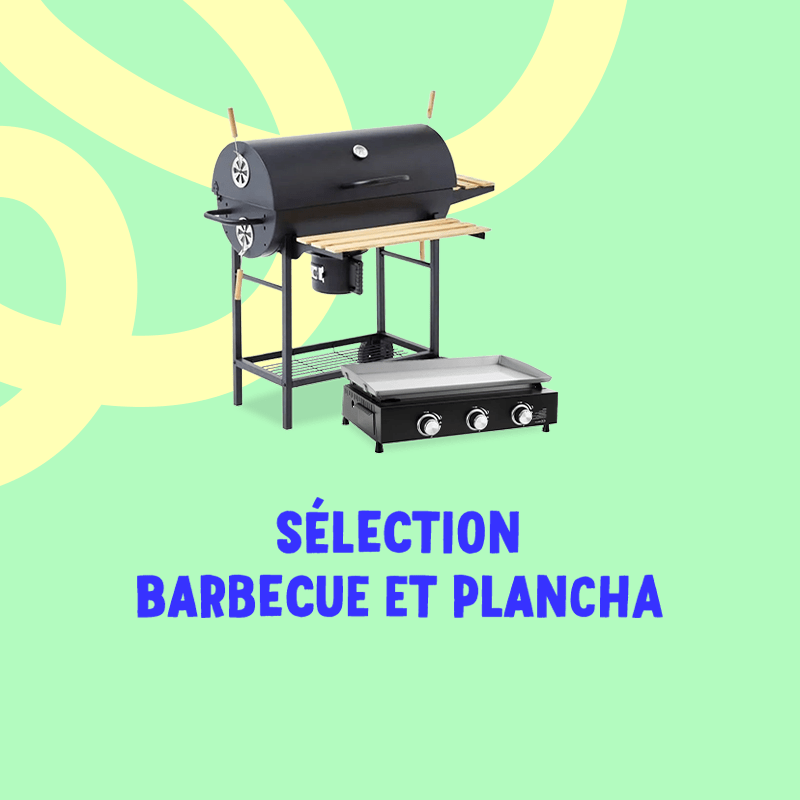 Barbecue et plancha