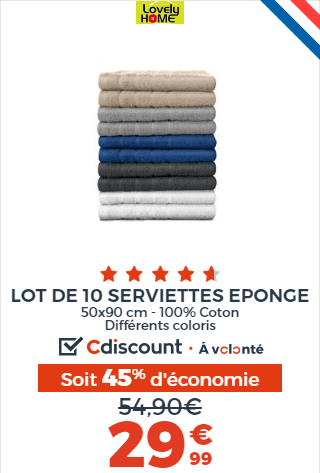 LOT DE 10 SERVIETTES LOT DE 10 SERVIETTES