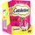 Friandises pour chat