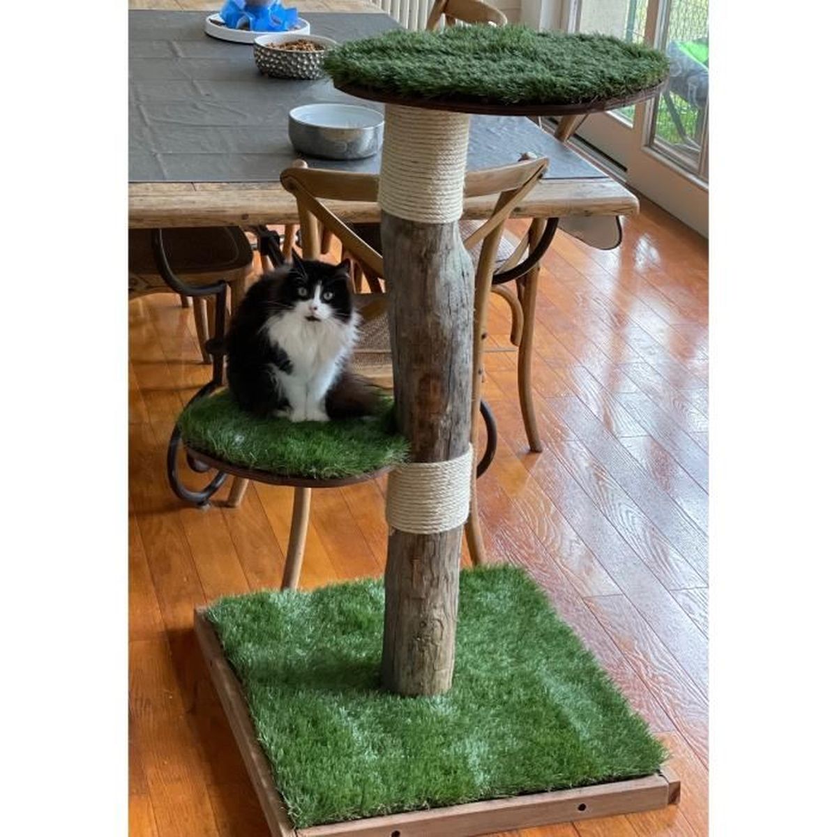 Arbre A Chat D Exterieur En Bois Naturel Cdiscount Animalerie