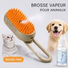 Brose pour chat multifonction _Brosse Vapeur 3 en 1 pour chat_ LBDC®