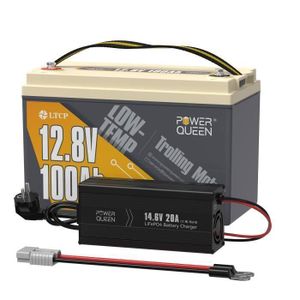 STATION DE DEMARRAGE Power Queen Batterie LiFePO4 -12V 100Ah LTCP à bas