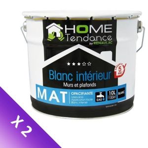 Peinture murale 10L blanc mat lessivable - HOME TENDANCE by Renaulac -  Achat / Vente peinture - vernis Peinture 10 L blanc mat - Cdiscount